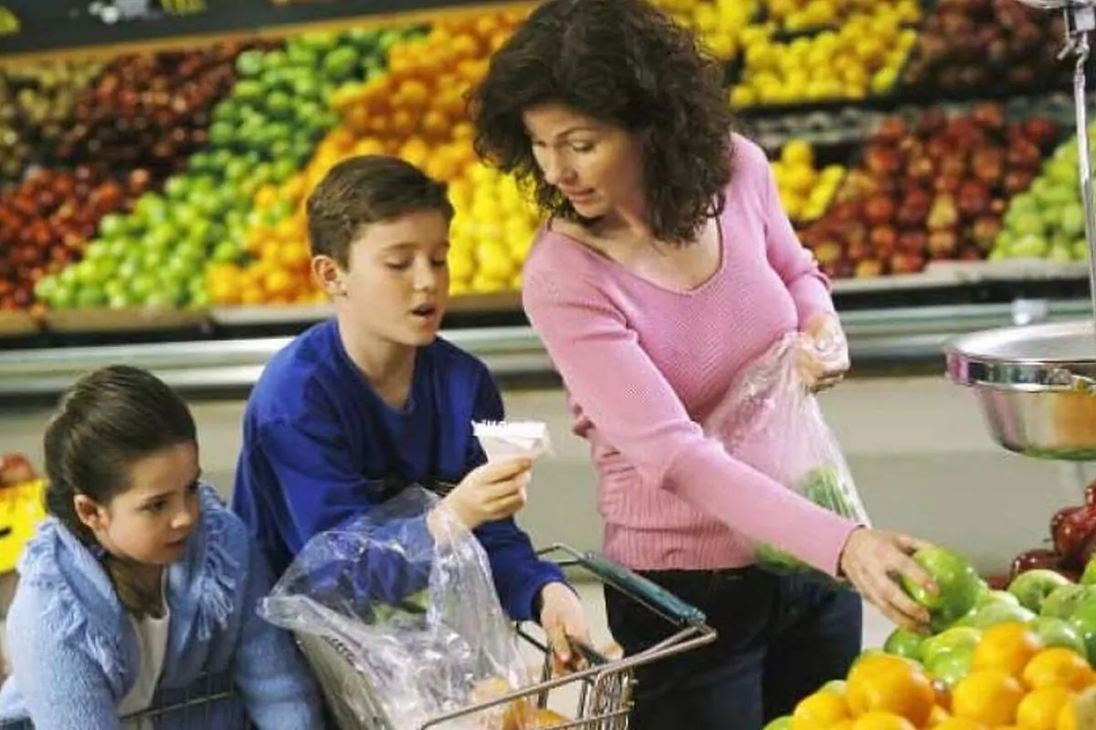 SNAP Florida Benefits Application: What is the fastest way to get food ...