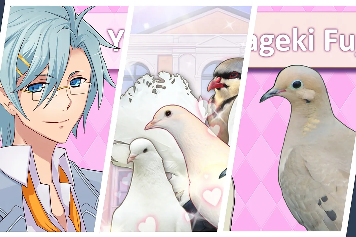 Have you ever dated a pigeon? Well, this dating simulator is about that