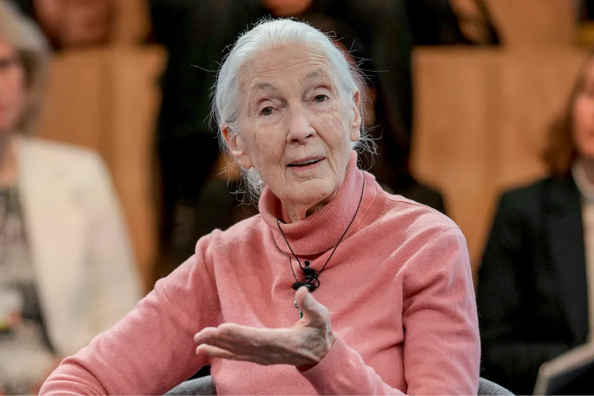 Jane Goodall Net worth: How rich was the wildlife advocate at the time of her death?